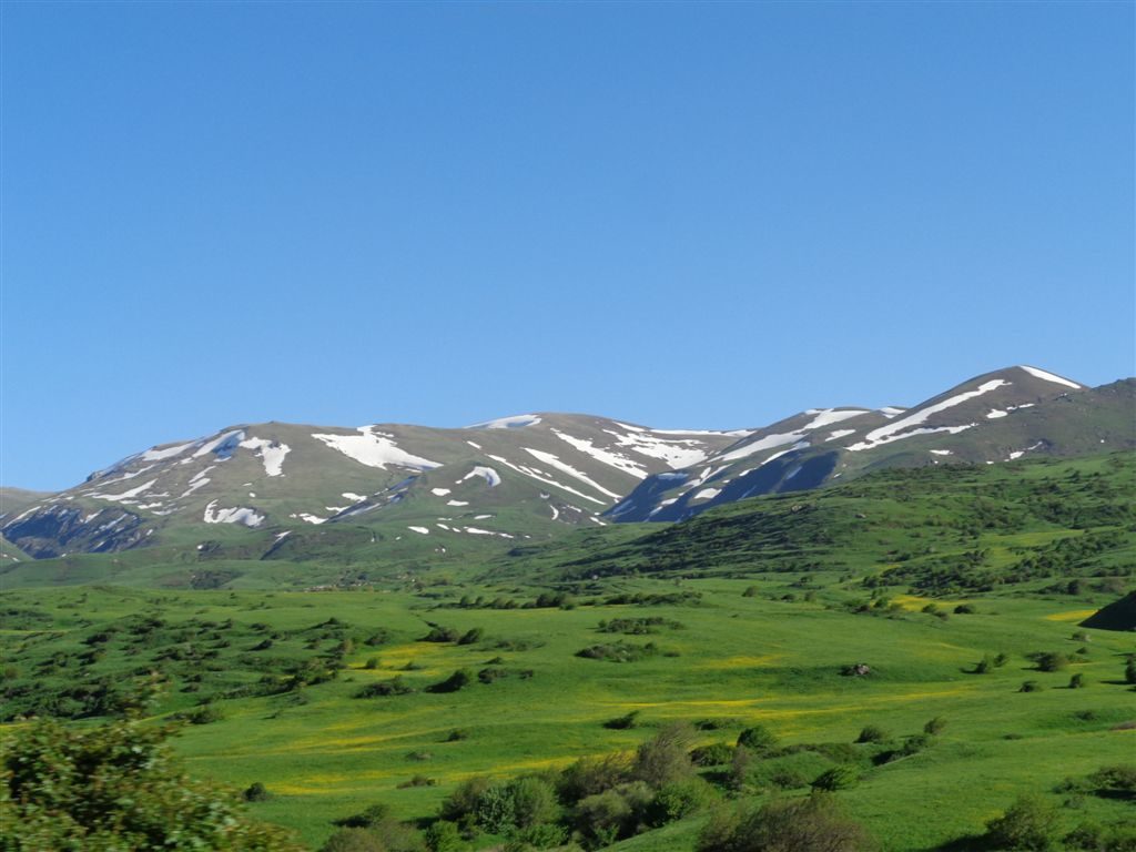 DSC00602