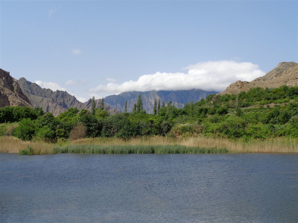 DSC00641