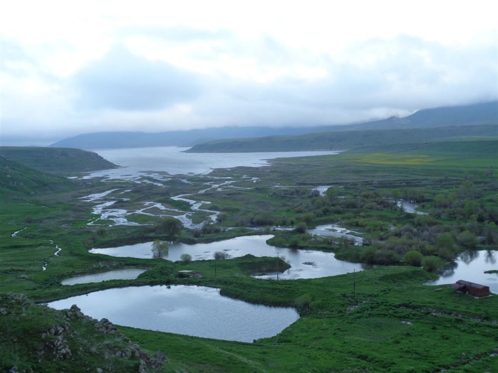 DSC00672