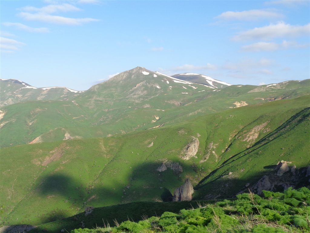 DSC00707