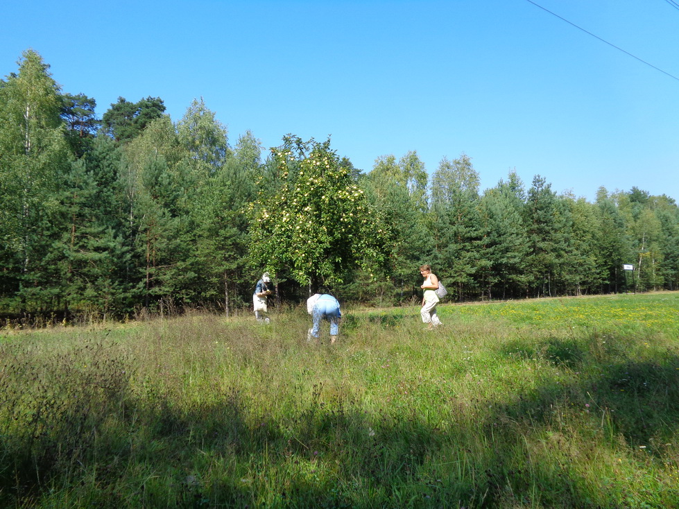 DSC00973_resize